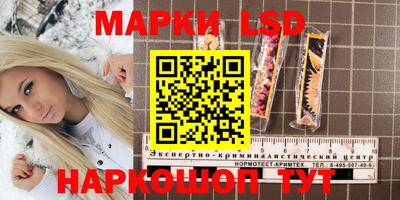 a pvp Владивосток