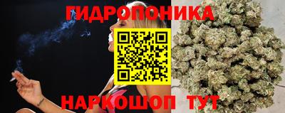 тгк Владимир