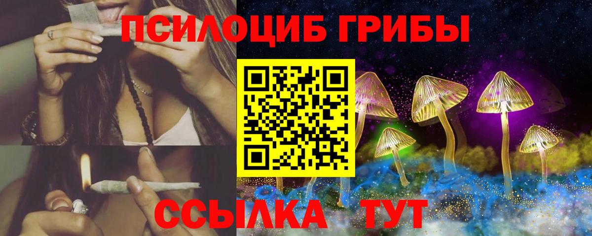 Псилоцибиновые грибы мухоморы Боровичи